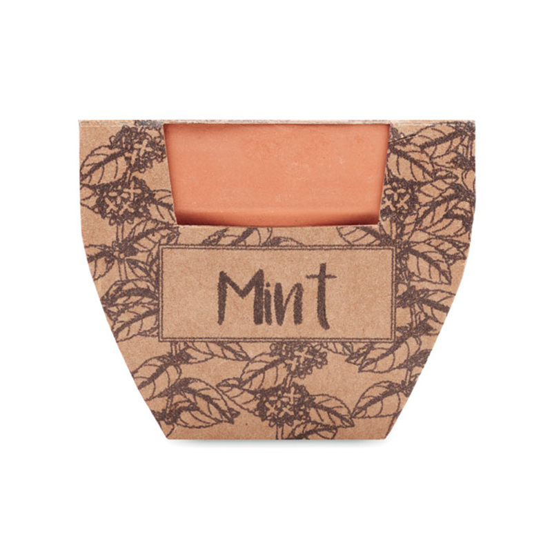 Terracotta pot mint - Image 2